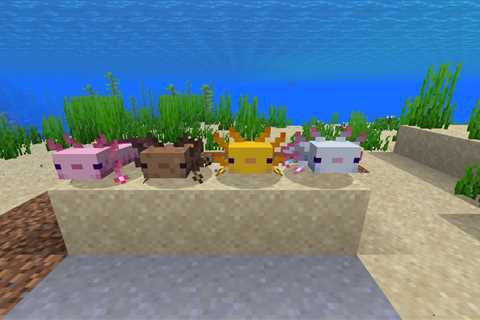 Minecraft mod turns axolotls into yeetable explosives