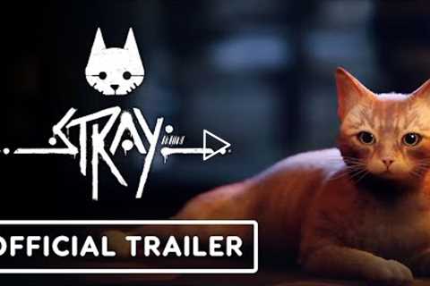 Stray - Official Release Date Trailer | PlayStation State of Play 2022
