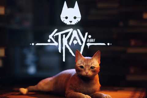 Stray Gets New Gameplay Trailer and July Release Date