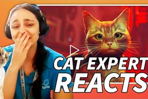 Cat Behavior Expert Reacts To Stray