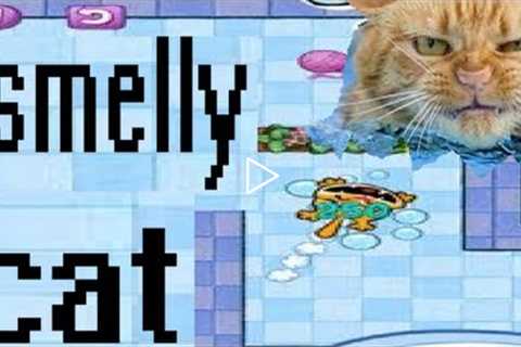 Smelly Cat iPhone iPad App Game Review $0