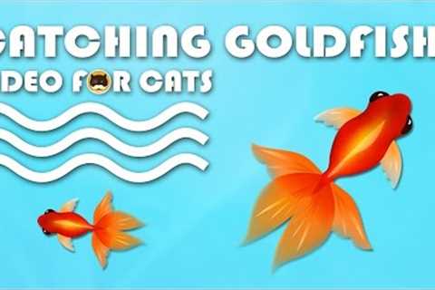 CAT GAMES FISH - Catching Goldfish! Fish Video for Cats to Watch.