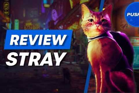 Stray PS5 Review - Is It Worth It?