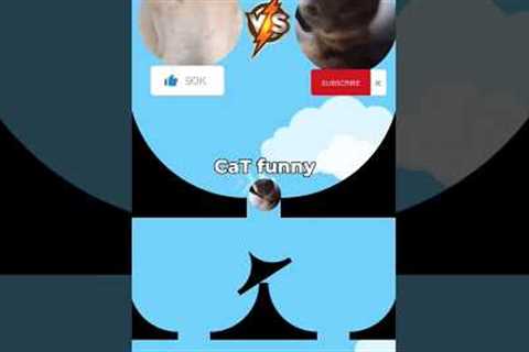 Cat funny meme Vs Dog funny meme 😂 To This Music #shorts #cute #memes #viral #phonk