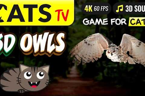 GAME FOR CATS - 3D Owl Birds 🦉 4K 🔴 60FPS 😻 CAT TV