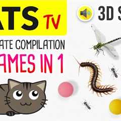 CATS TV - The ULTIMATE Games Compilation (20 in 1) 3 HOURS