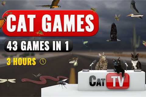 CAT TV | 43 In 1 Cat Games Compilation With Birds and Bugs | Video For Cats | 3 Hours