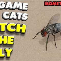 3D game for cats | CATCH THE FLY (isometric view) | 4K, 60 fps, stereo sound