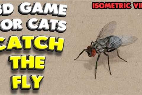 3D game for cats | CATCH THE FLY (isometric view) | 4K, 60 fps, stereo sound