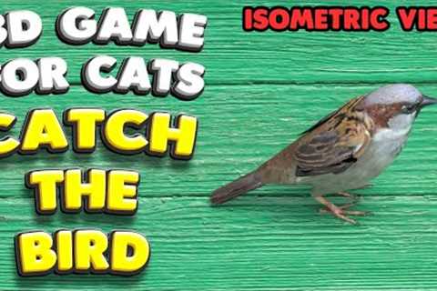 3D game for cats | CATCH THE BIRD (isometric view) | 4K, 60 fps, stereo sound