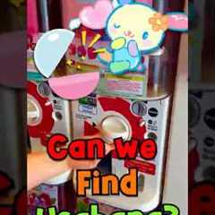 Hunting for a RARE Sanrio character! 🌸 | Brighton Gacha Hunt for Usahana!