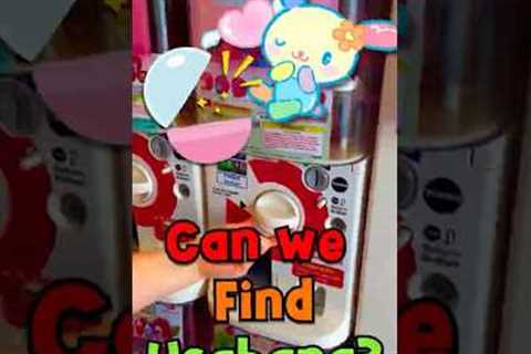 Hunting for a RARE Sanrio character! 🌸 | Brighton Gacha Hunt for Usahana!